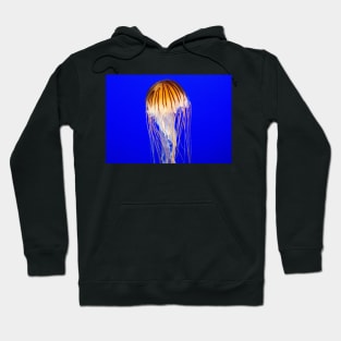 JELLYFISH OF BEAUTY IN THE BLUE OCEAN DESIGN Hoodie